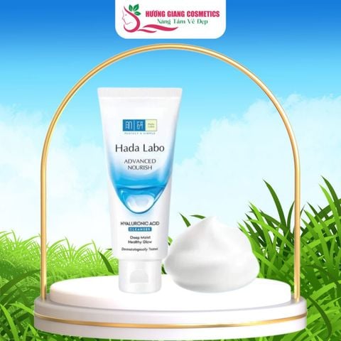 Sữa Rửa Mặt Tinh Chất Hyaluronic Hada Labo Nhật Bản  Cho Da Thường