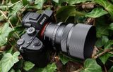 Ống kính Sigma 50mm F2 DG DN Contemporary ngàm Sony E