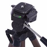 Chân máy ảnh Weifeng WT-3150