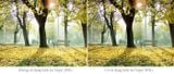Kính lọc Filter Marumi Super DHG Lens Protect 37-105mm