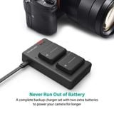 Pin Sạc đôi RavPower for Sony NP-FW50