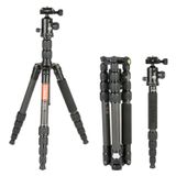 Chân máy ảnh Tripod/ Monopod Coman C2016 Carbon