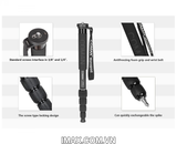 Chân đơn máy ảnh Coman Monopod DT-257C