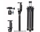 Chân máy ảnh Beike Q160D