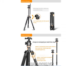 Chân máy ảnh Beike System Go Q999H