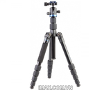 Chân máy ảnh BENRO FIF19AIB0