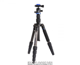 Chân máy ảnh BENRO FIF19CIB0, Carbon