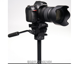 Chân máy ảnh Benro T980