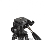 Chân máy ảnh Coman E800