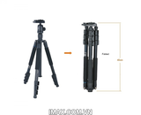 Chân máy ảnh Coman TK-257+CV-0
