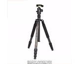 Chân máy ảnh Coman TM256CC0, Carbon