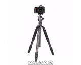 Chân máy ảnh Coman TM286CC1, Carbon