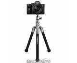 Chân máy ảnh, điện thoại, gậy Coman MT55( Bestbuy Amazone 2021)