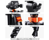 Chân máy ảnh K&F Concept  K234A7+BH-28L - KF09.087V6