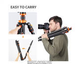 Chân máy ảnh K&F Concept K234A7+BH-28L - KF09.087V7