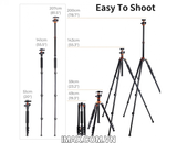 Chân máy ảnh K&F Concept K234A7+BH-28L - KF09.087V7