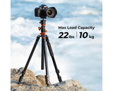Chân máy ảnh K&F Concept T254A7+ BH-28L - KF09.119