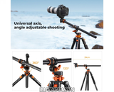 Chân máy ảnh K&F Concept T254A7+ BH-28L - KF09.119