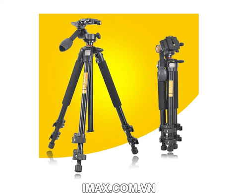 Chân máy ảnh, máy quay Beike BK-303