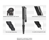 Chân máy ảnh Monopod Coman DT286A