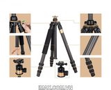 Chân máy ảnh TRIPOD BEIKE Q-1000C