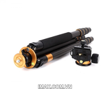 Chân máy ảnh TRIPOD BEIKE Q-1000C