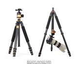Chân máy ảnh TRIPOD BEIKE Q-1000C