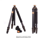 Chân máy ảnh TRIPOD BEIKE Q-1000C