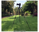 Chân máy ảnh Tripod Beike Q-111