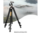 Chân máy ảnh Tripod Beike Q-301