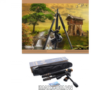 Chân máy ảnh Tripod Beike Q479