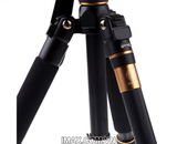 Chân máy ảnh TRIPOD BEIKE Q-666C