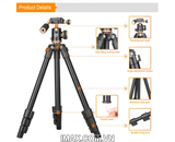 Chân máy ảnh Tripod Beike Q160S