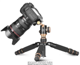 Chân máy ảnh Tripod Beike QZSD-166