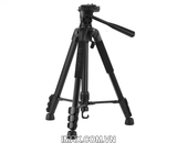 Chân máy ảnh Benro Tripod T699N