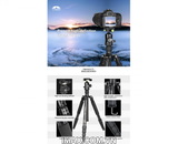 Chân máy ảnh/ Tripod Coman TM256AC0