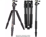 Chân máy ảnh/ Tripod Coman TM287AC1