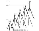 Chân máy ảnh/ Tripod Coman TM287AC1