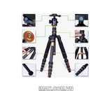Chân máy ảnh Tripod/ Monopod Beike Q666