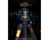 Chân máy ảnh Tripod/ Monopod Beike Q999