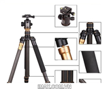 Chân máy ảnh Tripod/ Monopod BEIKE Q999C