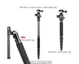 Chân máy ảnh Tripod/ Monopod Coman C2016 Carbon