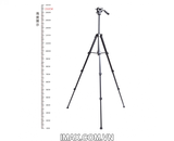 Chân máy ảnh / Tripod Yunteng VCT-691