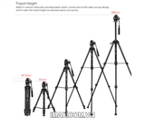 Chân máy ảnh Tripod Yunteng VCT-880