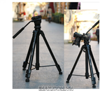 Chân máy ảnh Tripod Yunteng VCT-998