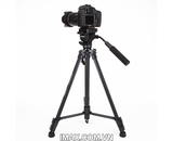 Chân máy ảnh Tripod Yunteng VTC-391RM