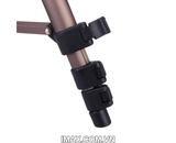 Chân máy ảnh Weifeng WT-3130