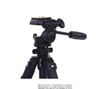 Chân máy ảnh Weifeng WT-6663A