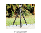 Chân máy ảnh Weifeng WT-6663A