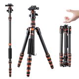 Chân máy ảnh K&F Concept C225C0+BH-25 Carbon - KF09.077V2